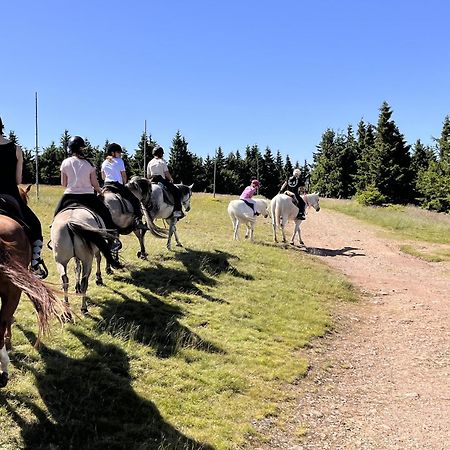 Rancho Panderoza Bed and Breakfast Duszniki Zdrój Εξωτερικό φωτογραφία