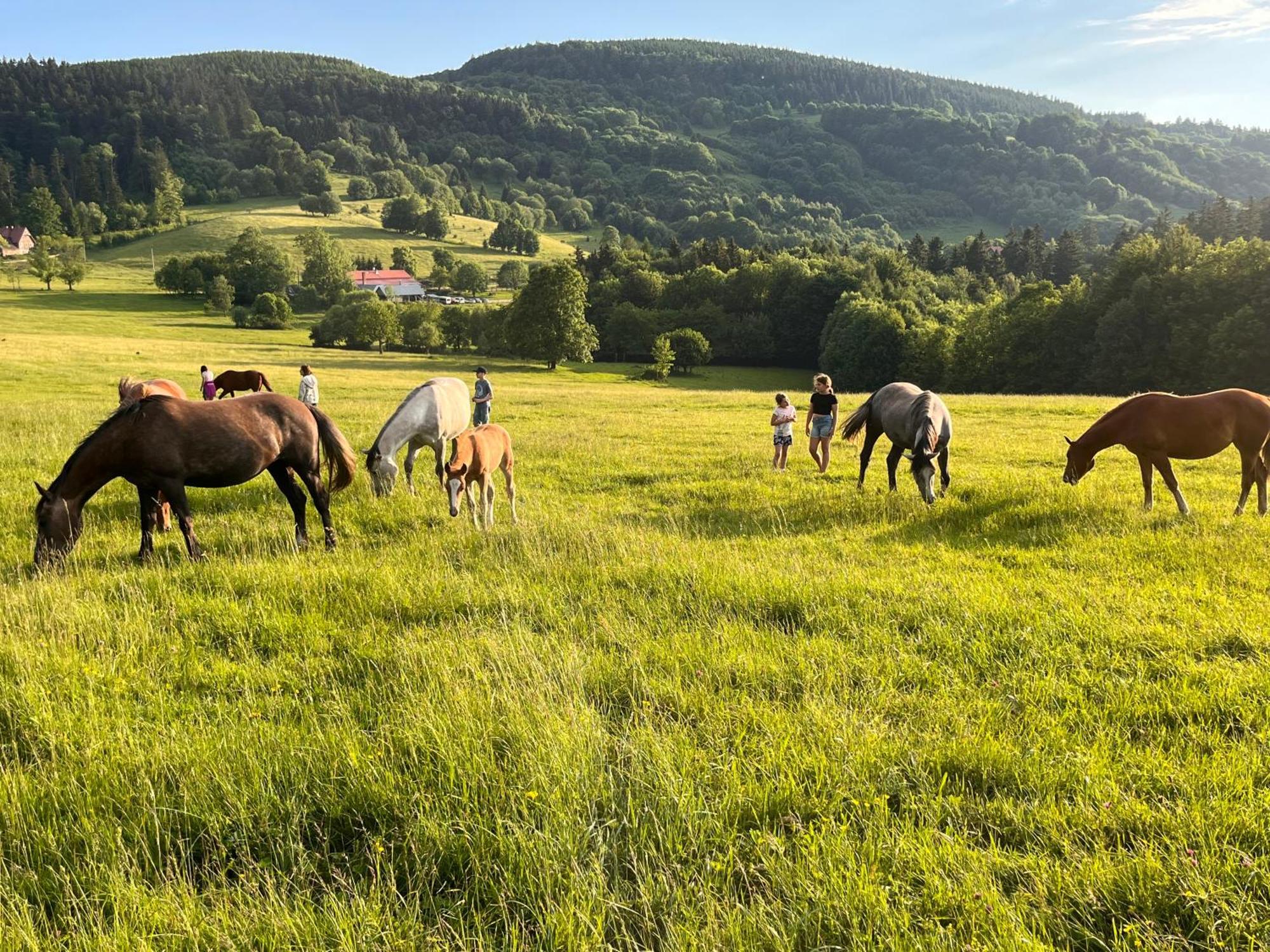 Rancho Panderoza Bed and Breakfast Duszniki Zdrój Εξωτερικό φωτογραφία