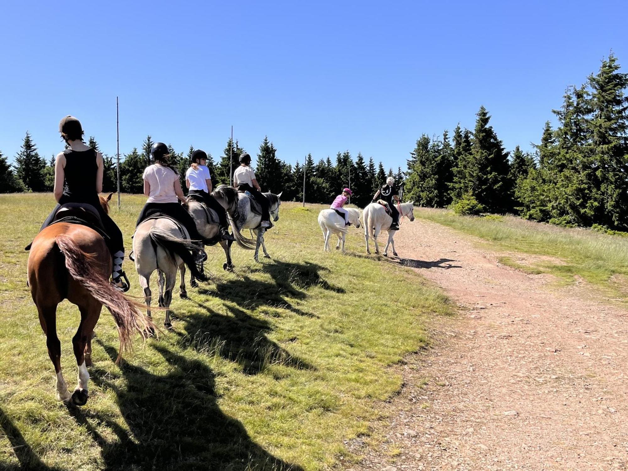Rancho Panderoza Bed and Breakfast Duszniki Zdrój Εξωτερικό φωτογραφία